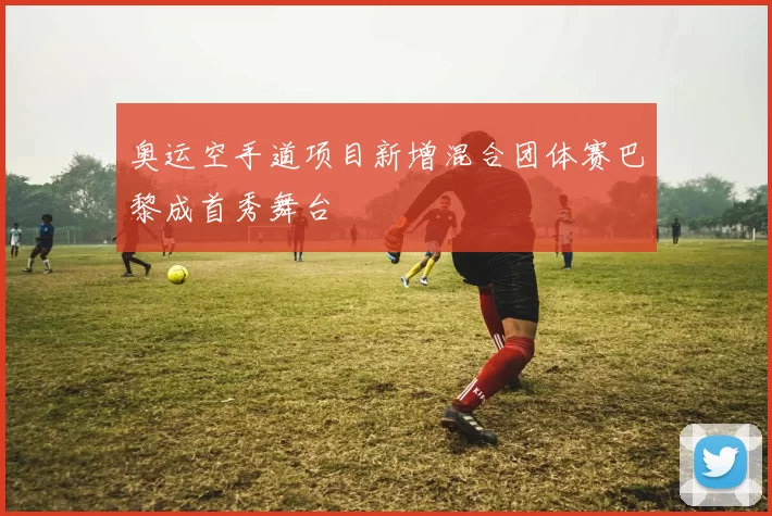 奥运空手道项目新增混合团体赛巴黎成首秀舞台