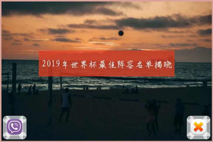 2019年世界杯最佳阵容名单揭晓