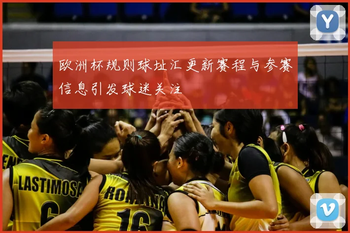 欧洲杯规则球址汇更新赛程与参赛信息引发球迷关注